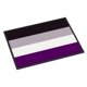 thumbnail image 1 of Felpudo Caroline's Treasures 61 x 91 cm Orgullo Asexual, 1 of 8