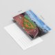 thumbnail image 2 of Postales Dear Mapper 20 unidades – Paisaje de Massachusetts, 2 of 6