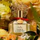 thumbnail image 2 of Perfume Vince Camuto Bella Eau de Parfum en spray para mujer, 2 of 3