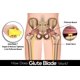 thumbnail image 3 of Rodillo de masaje GLUTE BLADE Piriformis con 3 cabezales de densidad media, 3 of 5