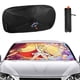 thumbnail image 1 of Parasol para Auto Desmarcar She-Ra Princesa del Poder 133x73cm, 1 of 6