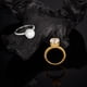 thumbnail image 2 of Anillos de Boda de Moissanita de Doble Halo Oculto de 3 Quilates Corte Redondo Color D VVS1 Anillo de Diamante de Oro para Mujer Anillo de Promesa Nupcial de Aniversario de Plata Esterlina S925, 2 of 6