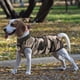 thumbnail image 4 of Traje de recuperación para perros, monos para gatos para heridas abdominales, camiseta de recuperación para mascotas macho y hembra, traje quirúrgico cómodo después de la cirugía, monos antilamidos pa, 4 of 8