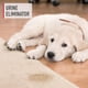 thumbnail image 2 of Spray de 650 ml para mascotas – Fórmula Spot Cleaner de Hoover, 2 of 5