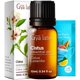 thumbnail image 1 of Aceite Esencial De Cistus 10 Ml Para Aromaterapia, 1 of 6