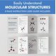 thumbnail image 5 of Kit de modelos moleculares Old Nobby Organic Chemistry Set 425 piezas, 5 of 8