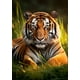 thumbnail image 1 of Item pruebas de stress N6, 1 of 3