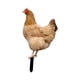 thumbnail image 4 of Estacas De Estatua De Animales De Pollo Decorativas Acrílicas Para Decoración De Patio Trasero Estilo B, 4 of 5