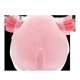 thumbnail image 5 of Peluche Pokemon Squishmallows Chansey 25 cm, 5 of 6