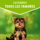 thumbnail image 2 of Alimento Húmedo Cachorro Sabor Carne Pouch, 100 g, 2 of 7