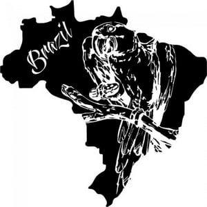 Rienda Libre Graphics - Decomural Brazil Map Parrot Bird Ws-32756
