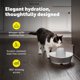 thumbnail image 4 of Fuente de agua para mascotas PetSafe Creekside 1,7 L con 4 filtros de carbón, 4 of 9