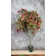 thumbnail image 3 of Planta Decorativa Arbol de Buganvilla 150Cm, 3 of 3
