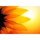 thumbnail image 2 of Test convert WFS gtin0, 2 of 2