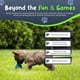 thumbnail image 4 of Pelota para perro Petite Paws 4,5 cm con chirrido – paquete de 4, 4 of 8