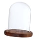 thumbnail image 1 of Campana De Cúpula De Vidrio Con Base De Madera Cubierta De Soporte De Paisaje De Flores Marrón B, 1 of 5