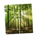 thumbnail image 4 of Juego de 2 paneles impresión digital 3d cortinas 140x100cm sol bosque, 4 of 5