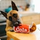 thumbnail image 4 of Good Boy cola - Peluche sensorial para perros, 4 of 4