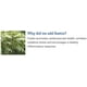 thumbnail image 2 of Resveratrol Optimizado Supplement 90 Cápsulas, 2 of 2