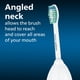 thumbnail image 3 of Cabezales de cepillo de dientes de repuesto Philips Sonicare E-Series 2 HX7022/30, 3 of 3