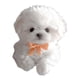 thumbnail image 4 of Juguete Electrónico De Peluche Para Perro, Que Camina Y Mueve La Cola, Bonito Para Mujeres, Niños Y Adultos, Color Blanco, 4 of 5