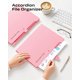 thumbnail image 2 of Carpeta expandible BiuLeon 8 bolsillos A4/Letter rosa – Pack de 2, 2 of 8