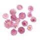 thumbnail image 3 of 10x Hojas Secas De Flores Prensadas Y Secas Para Manualidades DIY, Marcapáginas, Fabricación De Tarjetas 02, 3 of 5