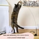 thumbnail image 2 of Set Interactivo De Juguetes Para Gatos Con Simulación De Pájaros, 2 of 7