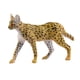 thumbnail image 1 of Figura De Gato Africano Juguetes Educativos En Miniatura Para Regalo De Cumpleaños De Fiesta, 1 of 5
