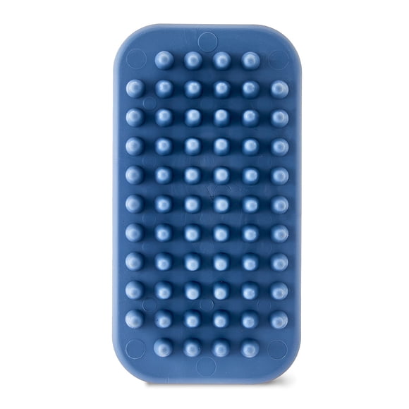 Cepillo Curry Vibrant Life TPR Unilateral para Perros