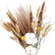 thumbnail image 2 of Ramo De Flores De Ca?a De Fragmitas De Hierba De Pampa Seca, Decoración Para El Hogar Y La Sala De Estar, 2 of 5