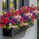 thumbnail image 4 of Flores artificiales AXYLEX, 16 ramos, resistentes a los rayos UV, 36 cm, 4 of 9