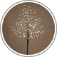 thumbnail image 1 of Lámpara Ambiente Diseño Árbol Luz Fría Blanca 150cm, 1 of 7