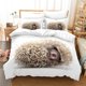thumbnail image 1 of Hedgehog Bedding Set Cute Kawaii Wildlife Comforter Cover with Pillowcases for Boys Girl Polyester Bedding Set King Size Bed Sheets, 1 of 5