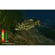 thumbnail image 4 of Videojuego Nintendo Bass Pro Shops: The Strike, 4 of 7