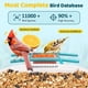 thumbnail image 2 of Comedero Para Pájaros Tuc 2k Hd Cámara Solar Ai De 32 Gb, 2 of 9
