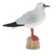 thumbnail image 3 of Plástico pájaro animal modelo figura ni?os regalo educativo juguete gaviota de cabeza negra, 3 of 5