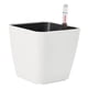 thumbnail image 1 of Solución Automática De Agua Para Macetas De Riego Automático Para Plantas Bonsai Square M, 1 of 5