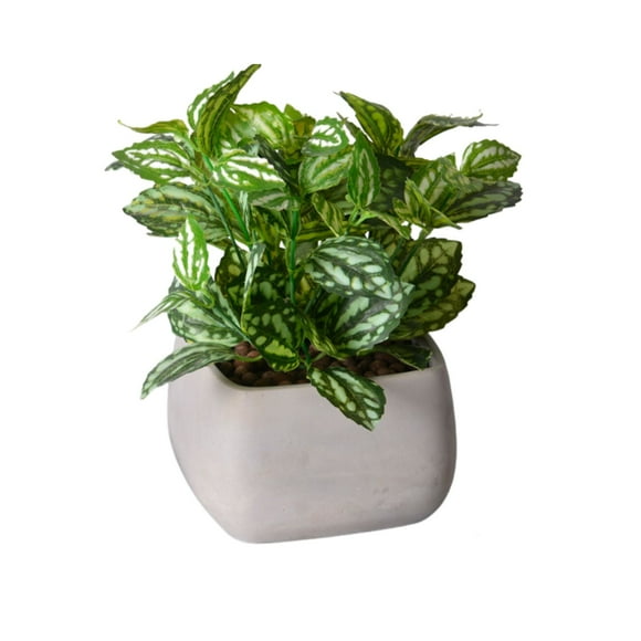 Maceta Cemento Cubica 11cm - 833