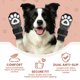 thumbnail image 3 of Calcetines antideslizantes para perros Bixie – Pack de 6 (XS), 3 of 6