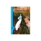 thumbnail image 1 of Madame Bovary, 1 of 2