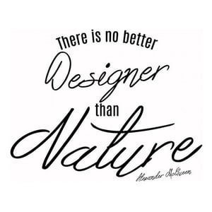 Rienda Libre Graphics - Decomural No Better Designer Mcqueen Fashion Ws-44063