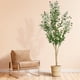 thumbnail image 1 of Olivo artificial Plantsworld de 6 pies con hojas realistas, 1 of 7