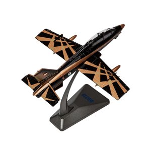 Bothyi - Entrenador Avión Recuerdo Avión Miniatura Modelo Colección Ornamento