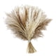 thumbnail image 5 of Ca?a De Ramo De Hierba De Pampa Natural Para Escritorio Fotografiar Arreglos Florales Estilo F, 5 of 5