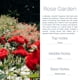 thumbnail image 2 of Ambientador Para Auto Floral Rose Garden Paquete De 2, 2 of 5