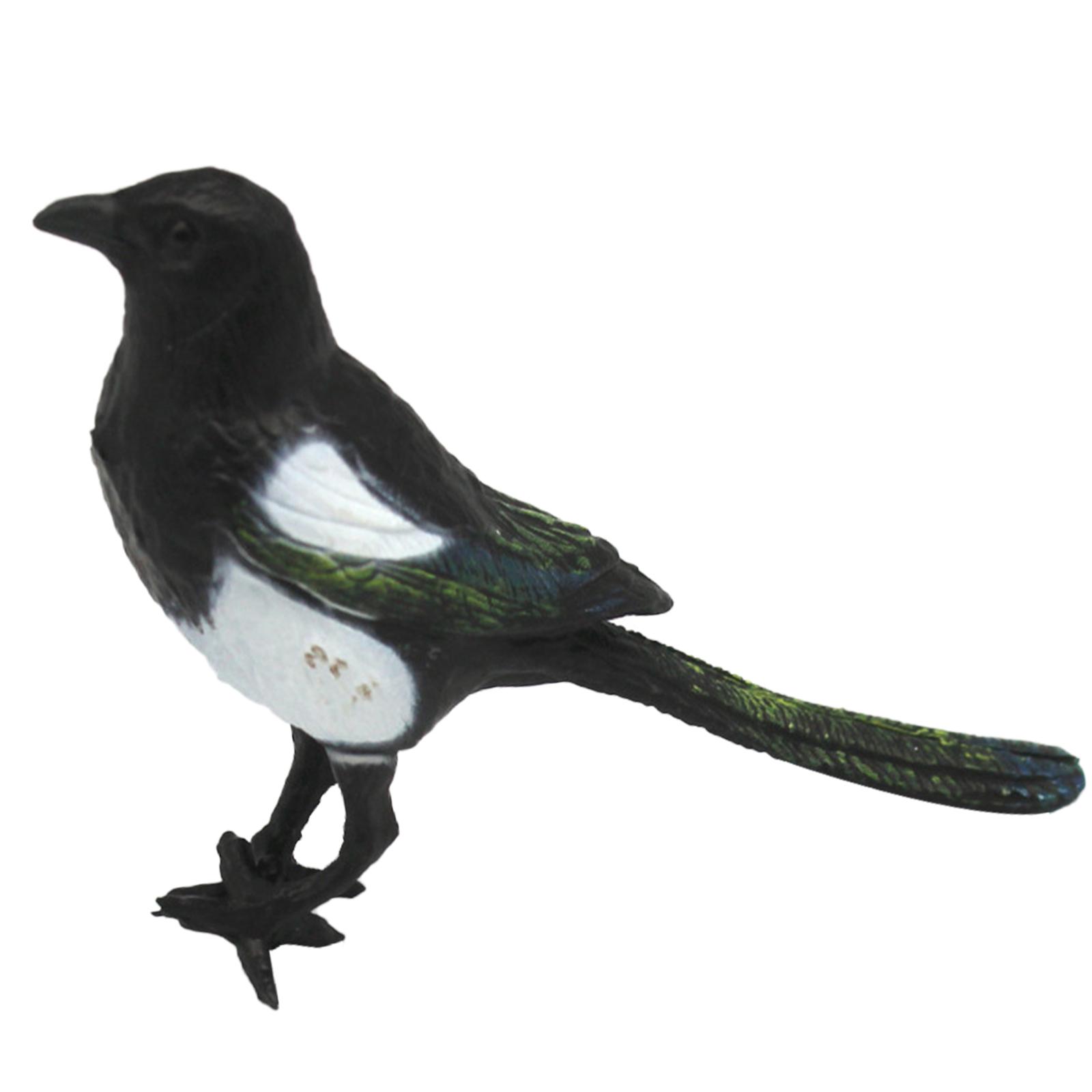 Magideal - Pájaro De Simulación De Urraca, Modelo De Pájaro Artificial, Realista, Pájaro Artificial, Estatua De Pájaro, Para Jardín, Accesorio De Fotografía, Cés