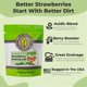 thumbnail image 2 of Sustrato para macetas PERFECT PLANTS 3,8 L Mezcla de fresa, 2 of 6