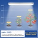 thumbnail image 4 of Grow Lights GYTF T5, 1.4 pies, 5000 K, blanco de espectro completo, paquete de 2 unidades, 4 of 7