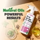 thumbnail image 3 of Spray para pulgas NatureStop 475 ml, control natural para interiores, 3 of 7